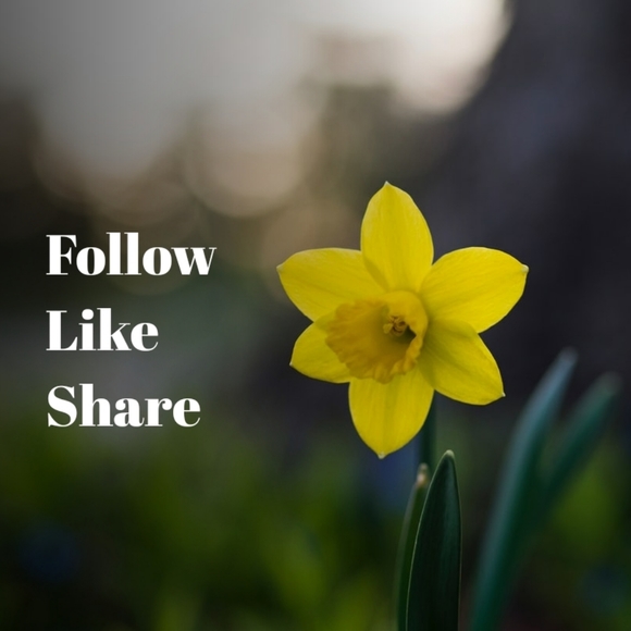 Thank you all Follow New Game This one is ending. - Picture 7 of 10